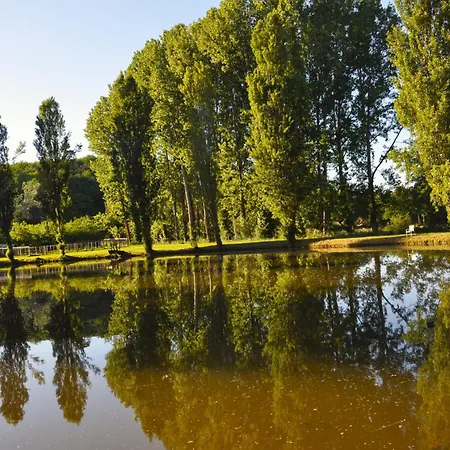 O Reflet Du *