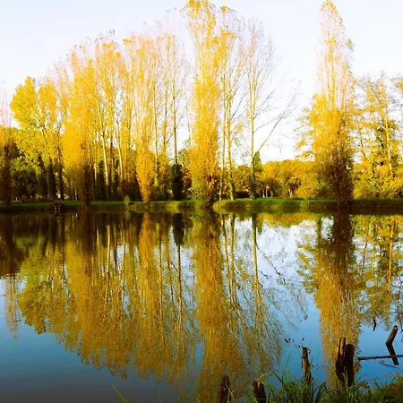 O Reflet Du